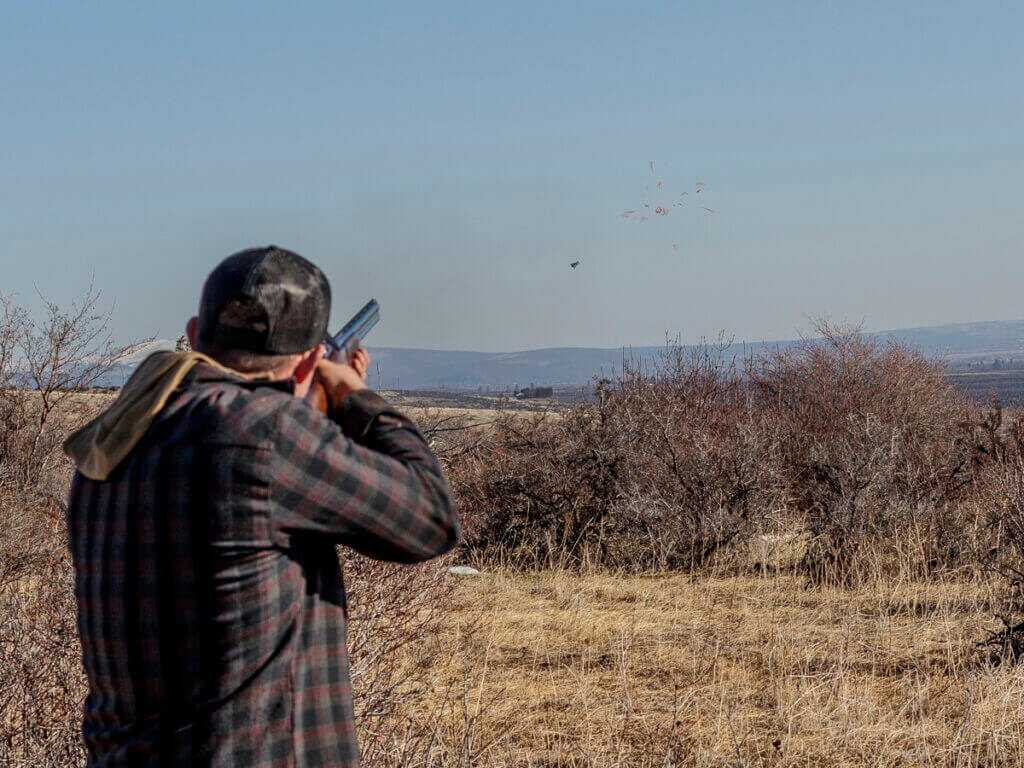 Clay pigeon exploding after being shot by shotgun