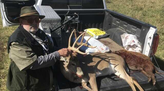 dead deer 