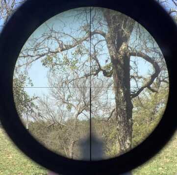 looking through a scope
