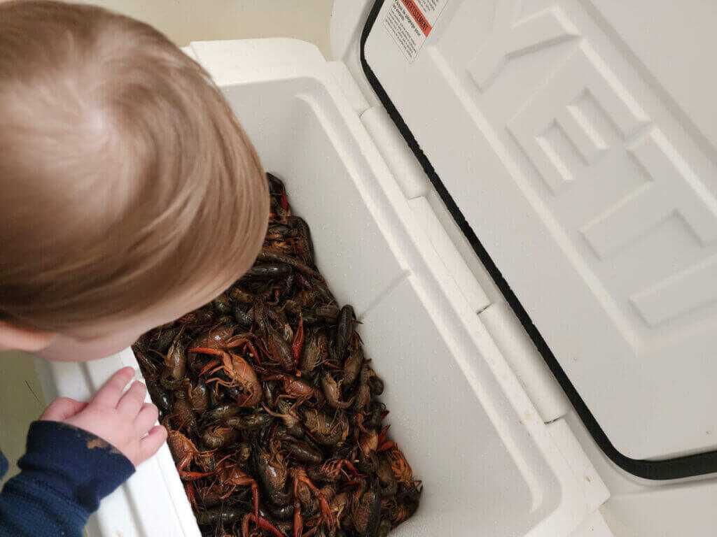 ice retention cooler