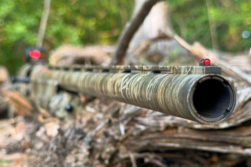 shotgun sights
