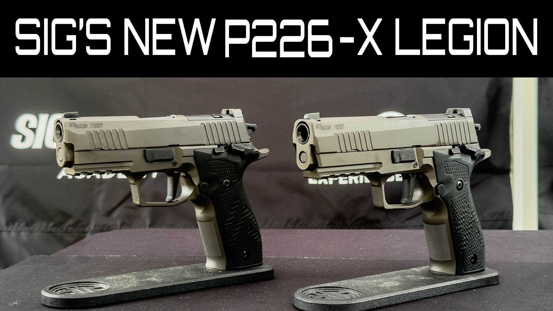 SIG P226X Carry best DA/SA concealed carry handgun 2026