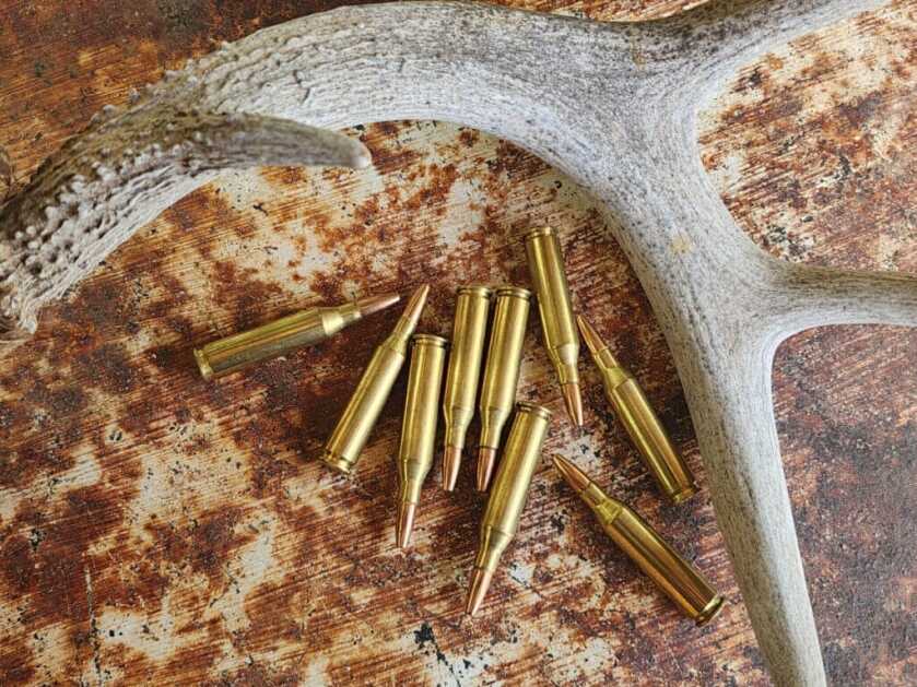 243 Winchester hunting ammo staged with shed antler, deer hunting load selection