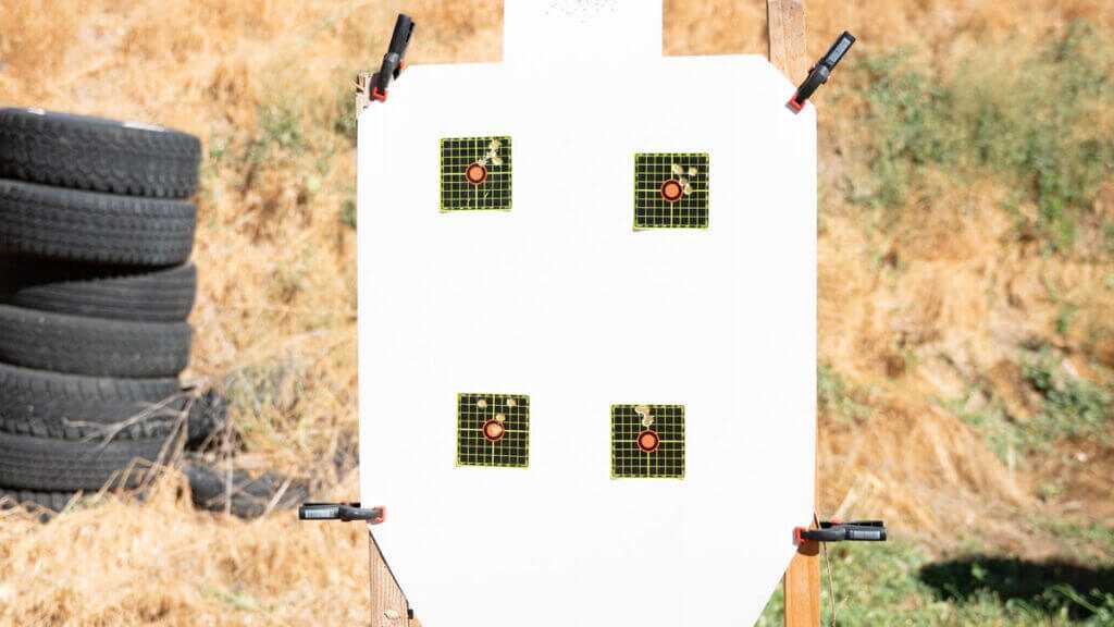CZ Shadow 2 Carry Groups