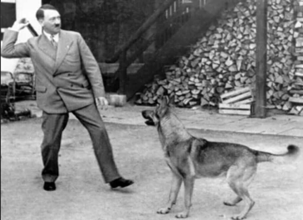 man with dog