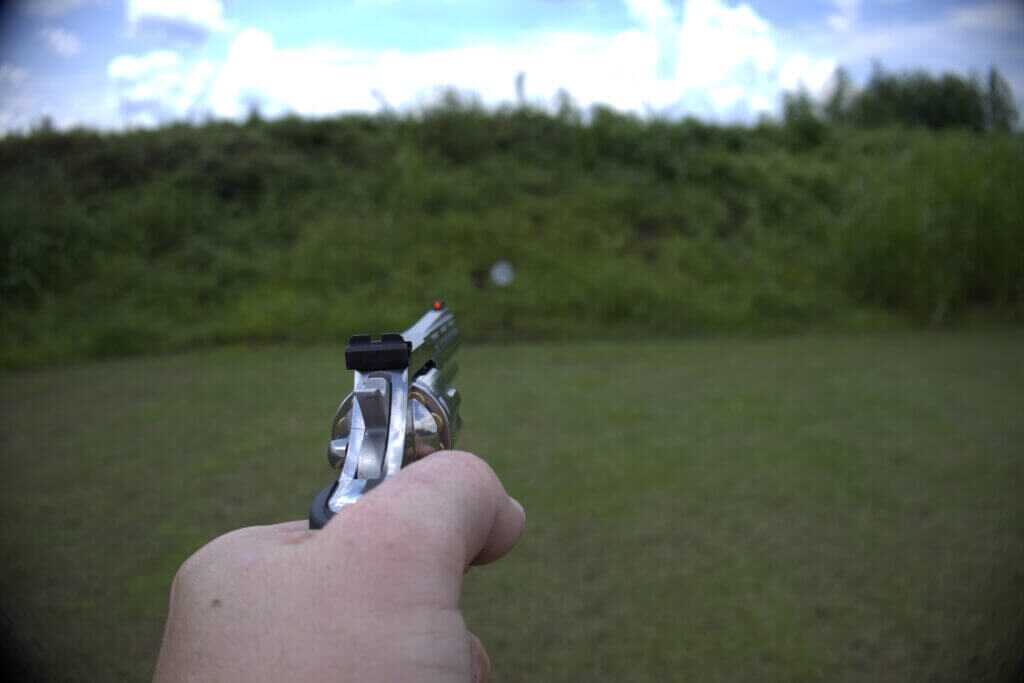 colt king cobra 22 sight picture