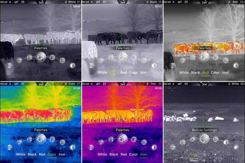 IOL25 onboard captures showing white hot and other palette examples at about 50 yards