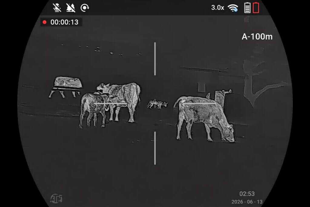 ATN ThOR 6 Elite LRF 640 thermal image of coyote moving among cattle at night