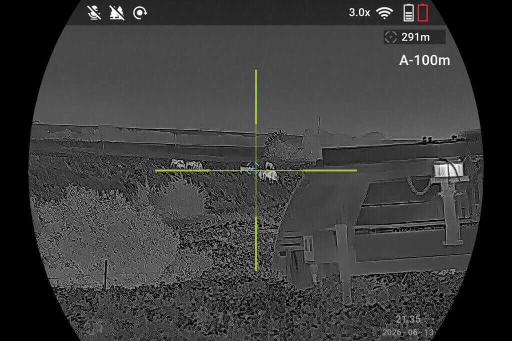 ATN ThOR 6 Elite LRF 640 thermal image of cow at 291 meters