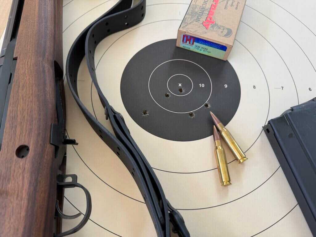Springfield Armory M1A Standard Issue 100-yard target with Hornady Match ammunition