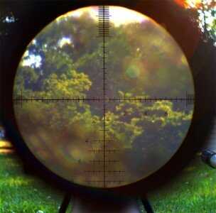 Going the Distance with the Bushnell LRHS bushnell