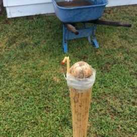 Training Can Happen at Any Time Could you shoot a match stick in half with a $39 BB gun?