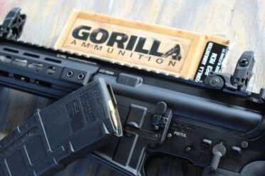 Gorilla. Gorilla. Gorilla. 