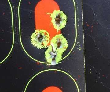 Kimber Micro Bel-Air Review This group is from the bench at 25 feet. Accurate enough for reliable shot placement.