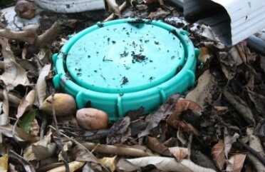 Prepping 101: Collecting & Storing Rainwater for Survival - Solutions, Calculations When I say I let my tanks go, I really let them go.
