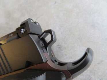 Loaded for Bear: Dan Wesson Bruin 10mm Long Slide – Full Review