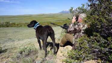 Clay On the Road: Blasting Prairie Dogs with the Sauer 100 Rifle