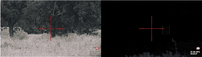 Digital Night Vision Scope for 9? Hog Hunting with the ATN X-Sight II HD - Full Review