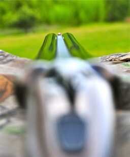 Iconic Scattergun: An Affordable FAIR Iside 20 Gauge — Full Review