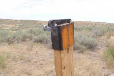 Check Out this Steal of a Deal from MGM: 2 Steel Targets Under 0!