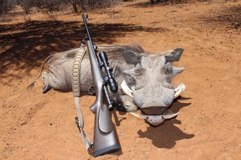 Top Five Plains Game Rifles