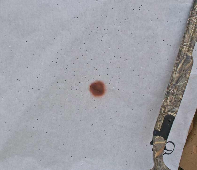 Waterfowl Artillery: CZ Swamp Magnum