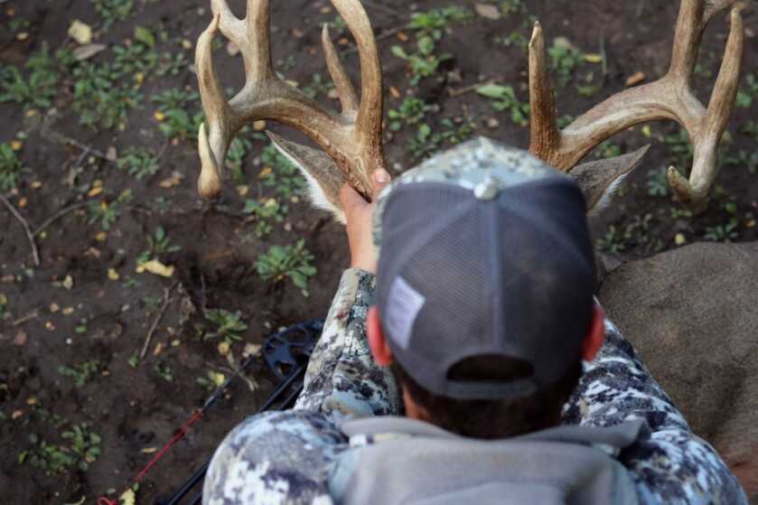2017's Top 5 Best Days of the Whitetail Rut 2017's Top 5 Best Days of the Whitetail Rut