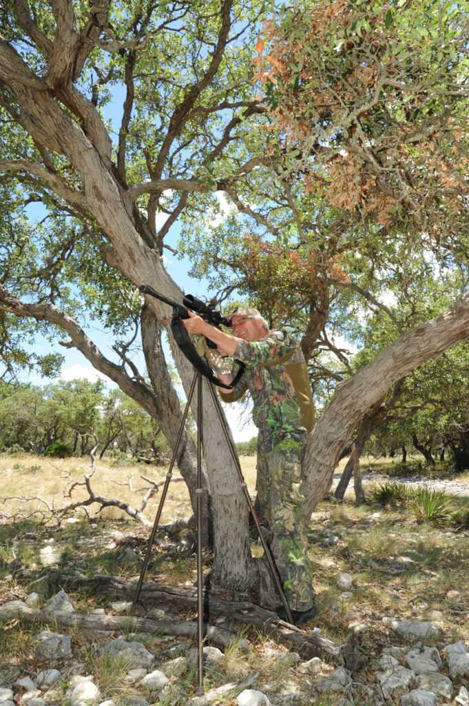 The 400 Yard Deer Hunter: Summer Prep Required!
