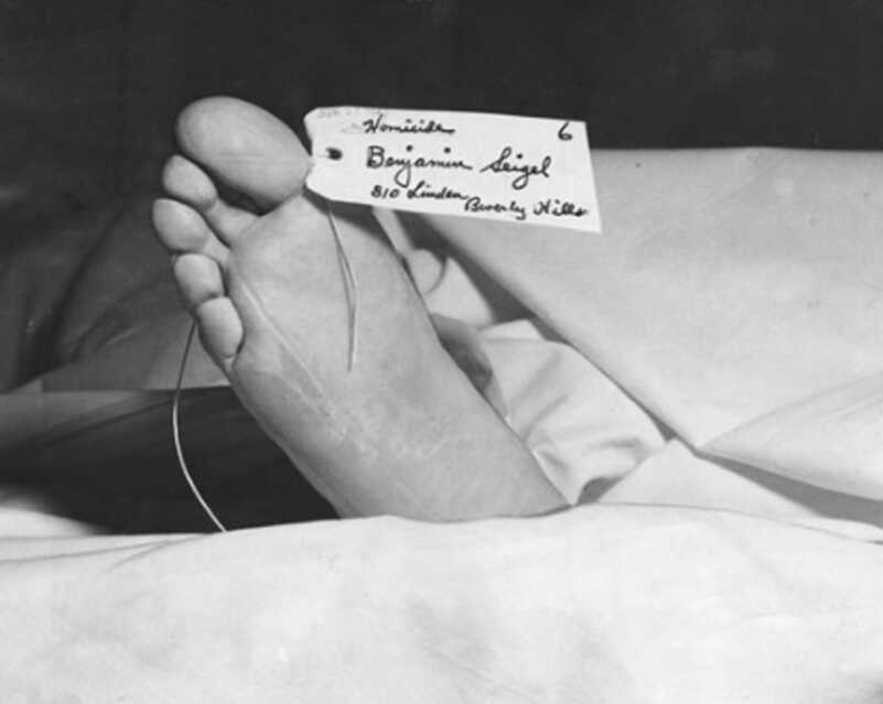 The Glamorous Life and Gory Death of the Father of Sin City Bugsy Siegel, the M1 Carbine, and Murder Inc. The Glamorous Life and Gory Death of the Father of Sin City Bugsy Siegel, the M1 Carbine, and Murder Inc.