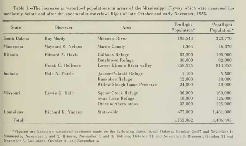 Ducks & Geese: The Perfect Storm of 1955 Ducks & Geese: The Perfect Storm of 1955