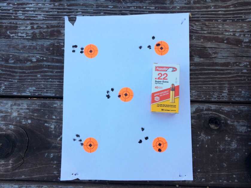 Head-to-Head: NEW Ruger Competition 10/22 vs. Custom 10/22 Build