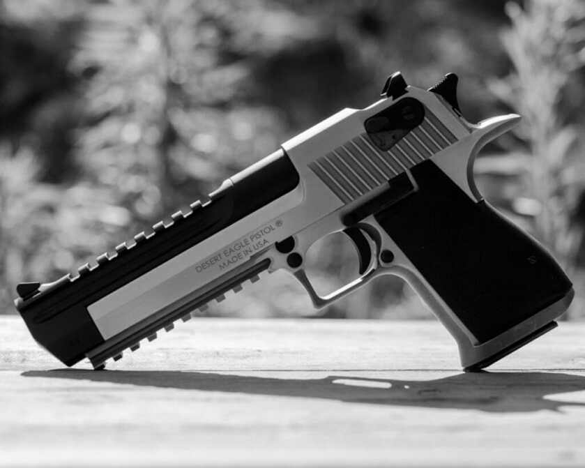 DESERT EAGLE SPREADS ITS WINGS AGAIN – With the New .429 DE Magnum! DESERT EAGLE SPREADS ITS WINGS AGAIN – With the New .429 DE Magnum!