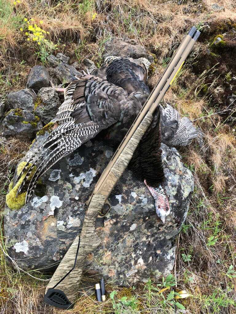 Browning Cynergy Shotgun Review