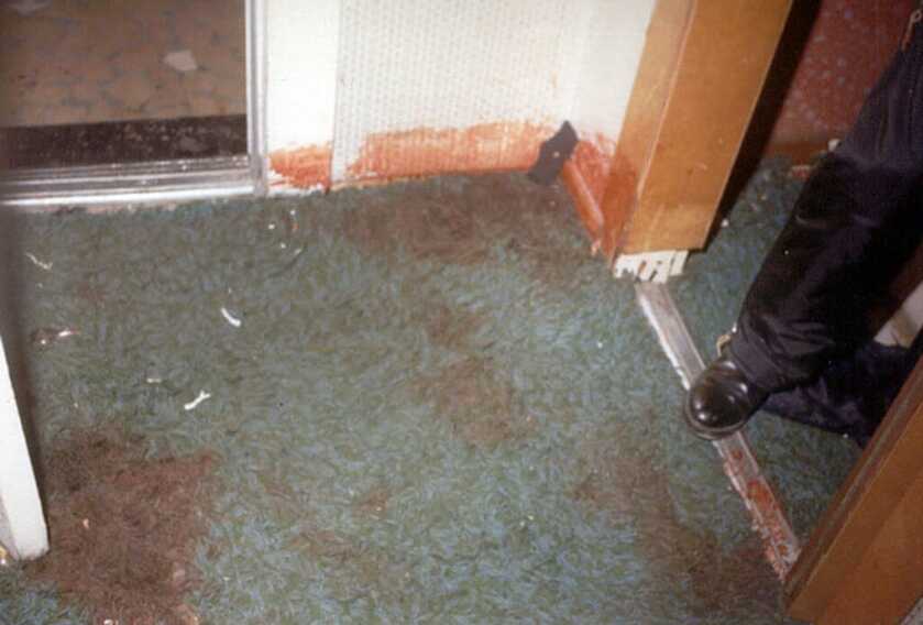 Rem 870, M16A1, & The Shannon Street Massacre Rem 870, M16A1, & The Shannon Street Massacre