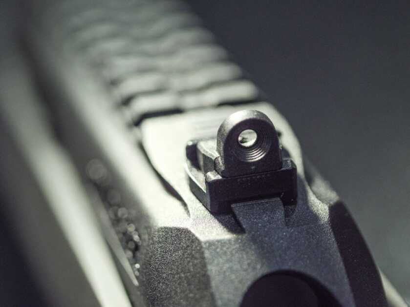 Is Winchester's Wildcat .22 The New Semi-Auto King? Is Winchester's Wildcat .22 The New Semi-Auto King?