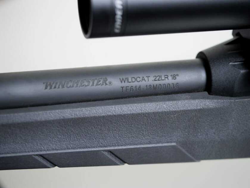 Is Winchester's Wildcat .22 The New Semi-Auto King? Is Winchester's Wildcat .22 The New Semi-Auto King?