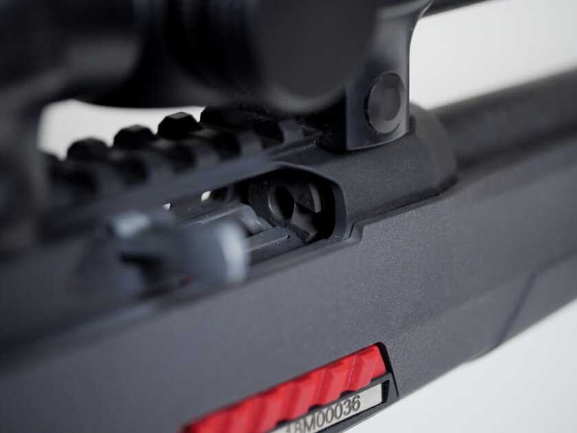 Is Winchester's Wildcat .22 The New Semi-Auto King? Is Winchester's Wildcat .22 The New Semi-Auto King?