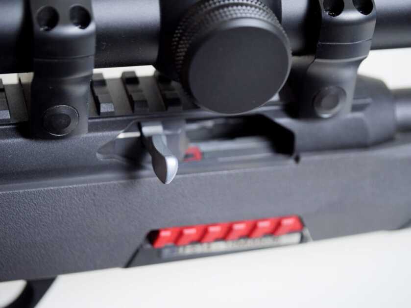 Is Winchester's Wildcat .22 The New Semi-Auto King? Is Winchester's Wildcat .22 The New Semi-Auto King?