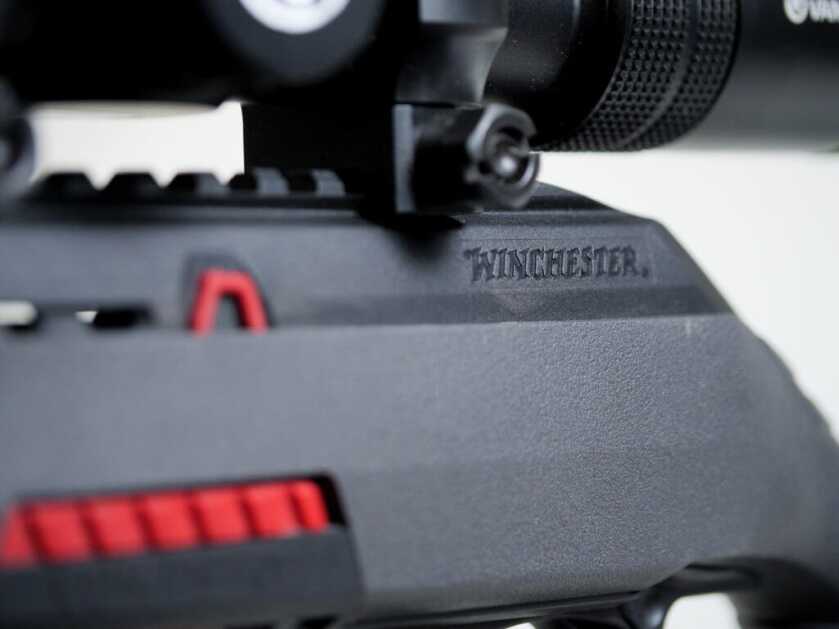 Is Winchester's Wildcat .22 The New Semi-Auto King? Is Winchester's Wildcat .22 The New Semi-Auto King?