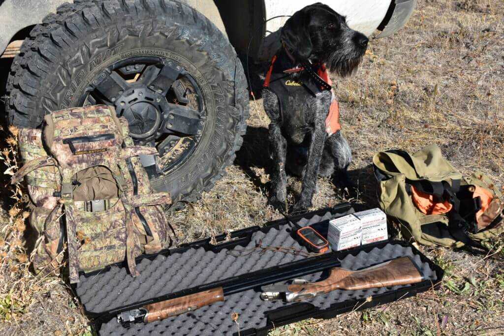 Silver Eagle's Light Super 20 Gauge Over Under gets Field Tested: Full Review