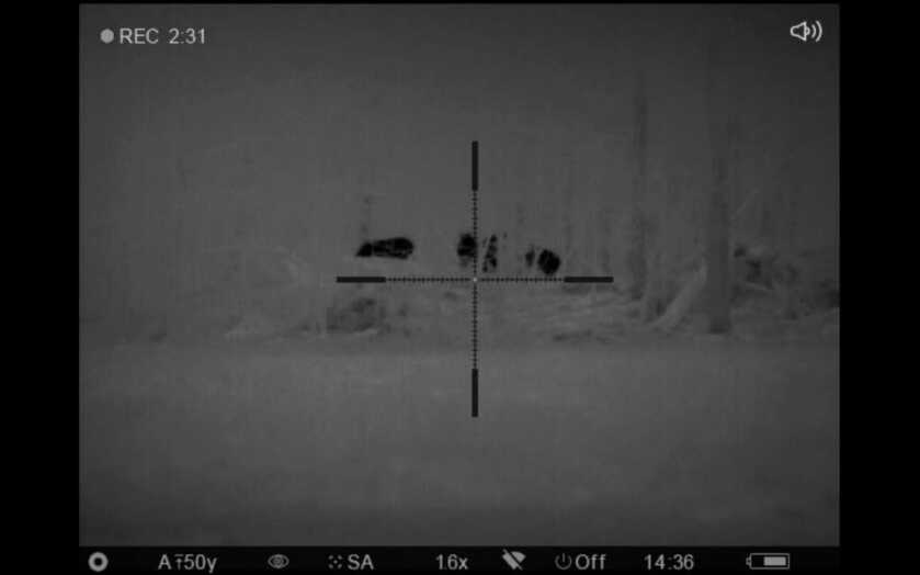 Factory to Table: Part 8 - On the Hunt Factory to Table: Part 8 - On the Hunt
