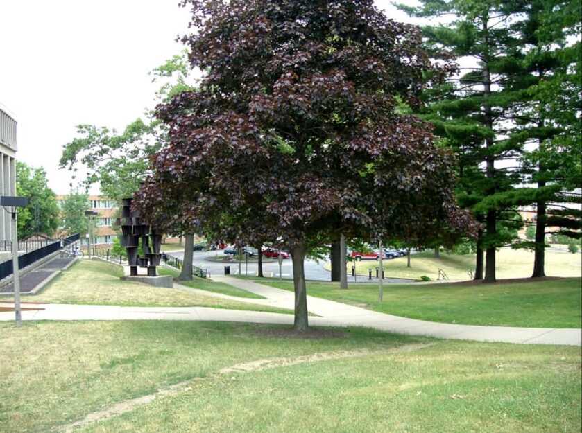 The Kent State Shootings: Glimpsing the Heart of Darkness