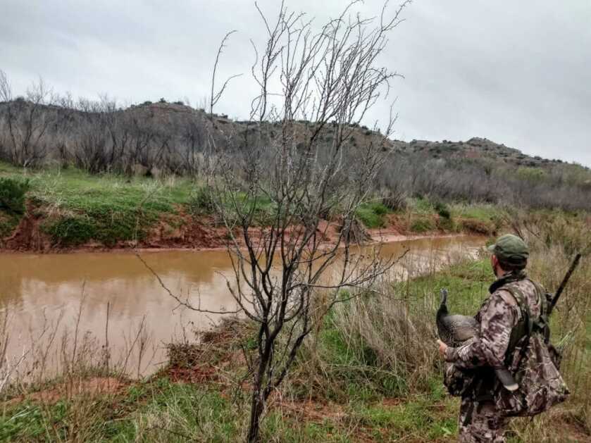 Jake Time: A Land Filled With Rio Grande Youngsters Jake Time: A Land Filled With Rio Grande Youngsters