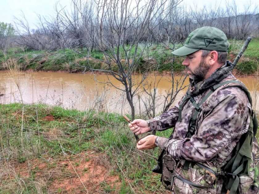 Jake Time: A Land Filled With Rio Grande Youngsters Jake Time: A Land Filled With Rio Grande Youngsters