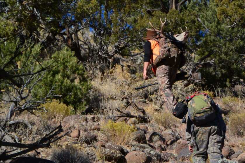 Spot and Stalk A Mule Deer Spot and Stalk A Mule Deer
