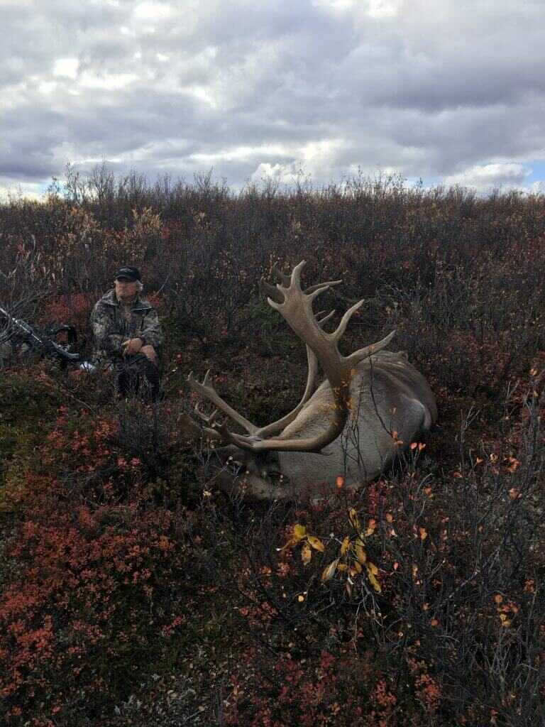 Quick, Fast, and In a Hurry - A Two Day Caribou Hunt Quick, Fast, and In a Hurry - A Two Day Caribou Hunt