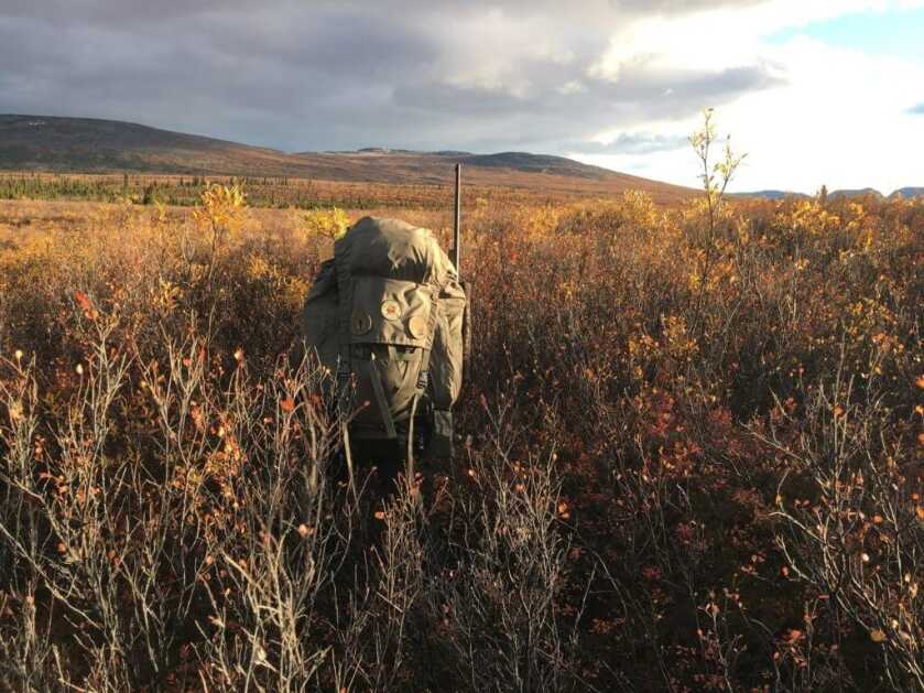Quick, Fast, and In a Hurry - A Two Day Caribou Hunt Quick, Fast, and In a Hurry - A Two Day Caribou Hunt