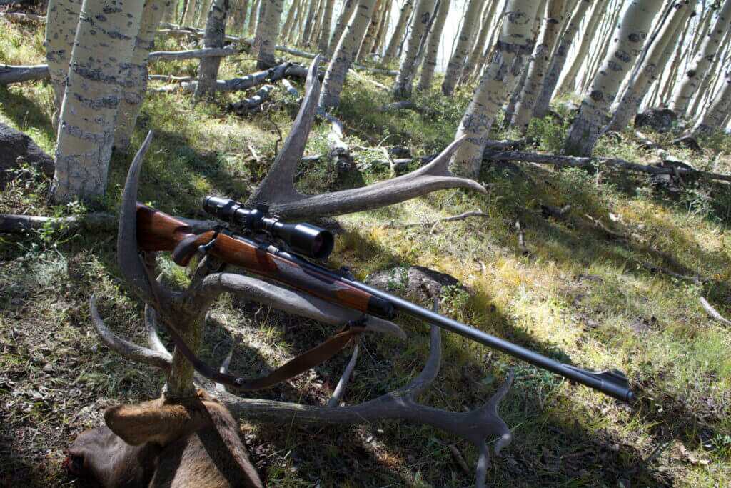 TAKE THE SHOT? The Elk of a Lifetime Presents A Shooting Dilemma - Presented by: Springfield Armory TAKE THE SHOT? The Elk of a Lifetime Presents A Shooting Dilemma - Presented by: Springfield Armory