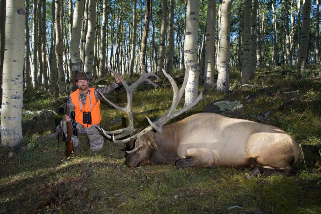 TAKE THE SHOT? The Elk of a Lifetime Presents A Shooting Dilemma - Presented by: Springfield Armory TAKE THE SHOT? The Elk of a Lifetime Presents A Shooting Dilemma - Presented by: Springfield Armory