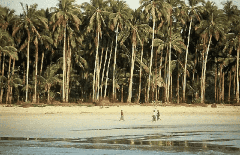 Don't Go Into the Swamp: Crocodiles and the Japanese Type 99 Rifle